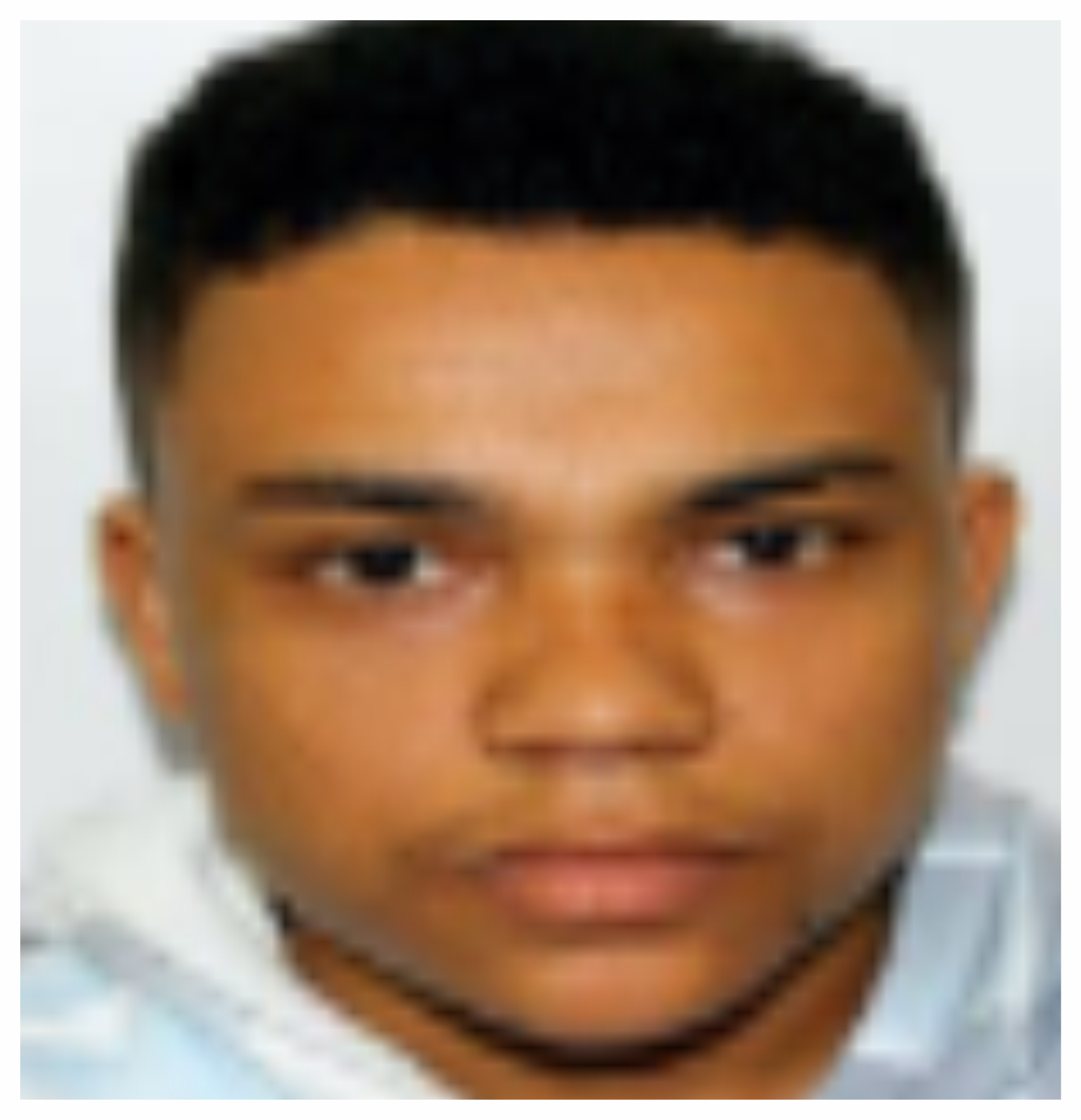 Foto de Gabriel da Silva Alves